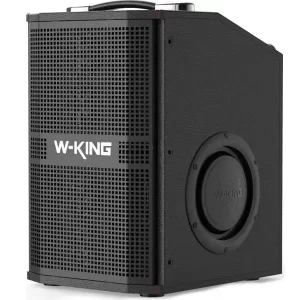 اسپیکر دبلیو کینگ W-KING K20S