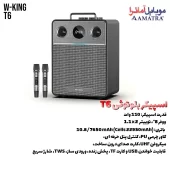 اسپیکر ۱۱۰ وات دبلیو کینگ W-King T6